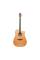 Електроакустична гітара TANGLEWOOD TW5 CE NA
