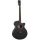 Электроакустическая гитара TANGLEWOOD TWBB SF CE