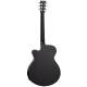 Электроакустическая гитара TANGLEWOOD TWBB SF CE