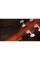 Електроакустична гітара TAYLOR GUITARS Gold Label 717e Sunburst Firestripe Pickguard