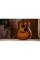 Електроакустична гітара TAYLOR GUITARS Gold Label 717e Sunburst Firestripe Pickguard