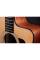 Електроакустична гітара TAYLOR GUITARS 110CE