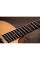 Електроакустична гітара TAYLOR GUITARS 110CE