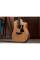 Електроакустична гітара TAYLOR GUITARS 210CE