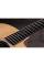 Електроакустична гітара TAYLOR GUITARS 210CE