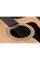 Електроакустична гітара TAYLOR GUITARS 210CE