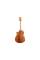 Електроакустична гітара TAYLOR GUITARS 214ce-K DLX
