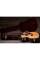 Електроакустична гітара TAYLOR GUITARS 214ce-K DLX
