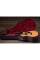 Електроакустична гітара TAYLOR GUITARS 214ce PLUS