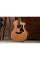 Електроакустична гітара TAYLOR GUITARS 214ce PLUS