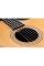 Электроакустическая гитара TAYLOR GUITARS 214CE-N