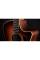 Электроакустическая гитара TAYLOR GUITARS 414ce Studio Shaded Edgeburst
