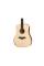 Електроакустична гітара TAYLOR GUITARS ACADEMY 10E