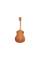 Електроакустична гітара TAYLOR GUITARS GS MINI-E MAHOGANY
