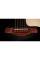 Електроакустична гітара TAYLOR GUITARS Gold Label 517e Blacktop
