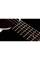 Електроакустична гітара TAYLOR GUITARS Gold Label 517e Blacktop