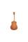 Акустична гітара TAYLOR GUITARS GS MINI MAHOGANY