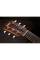 Акустична гітара TAYLOR GUITARS GS MINI MAHOGANY