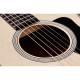 Акустична гітара TAYLOR GUITARS GS MINI SAPELE