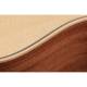 Акустична гітара TAYLOR GUITARS GS MINI SAPELE