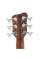 Бас-гітара Warwick Teambuilt Pro Series Thumb BO, 6-String (Natural Transparent Satin)