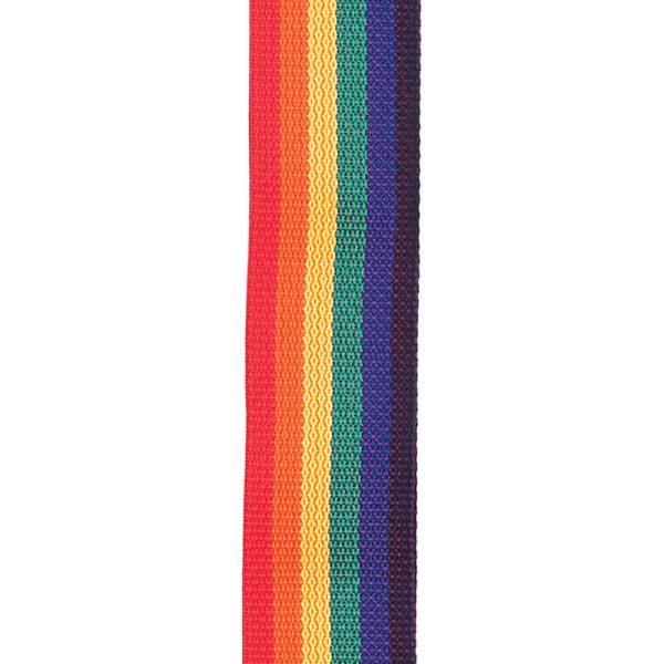 Ремінь для гітари D'ADDARIO PWS111 POLYPRO GUITAR STRAP (RAINBOW)