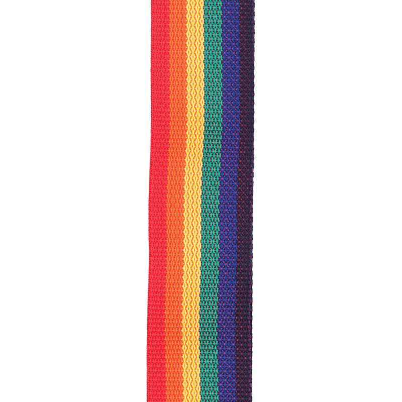 Ремінь для гітари D'ADDARIO PWS111 POLYPRO GUITAR STRAP (RAINBOW)