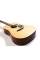 Акустична гітара EPIPHONE DR-100 NT