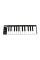 MIDI Клавіатура AKAI LPK25V2