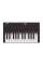MIDI Клавіатура AKAI MPK mini 4 Black