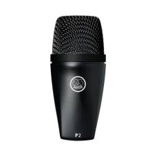 Мікрофон інструментальний AKG P2