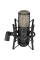 Мікрофон студійний AKG P220