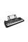 Синтезатор ALESIS HARMONY 54