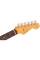 Електрогітара Fender American Pro II Stratocaster HSS RW Dark Night