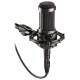 Микрофон студийный Audio-Technica AT2035 Микрофон студийный Audio-Technica AT2035