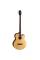 Бас-гітара CORT AB850F (Natural Glossy)
