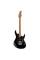 Електрогітара CORT G250 SE (Black)