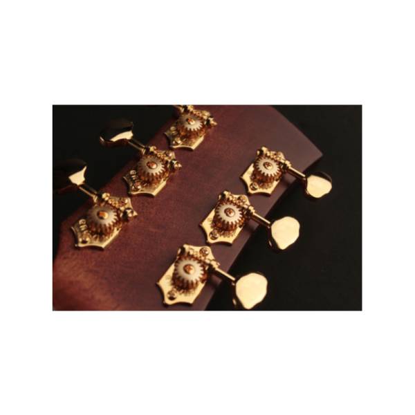 Електроакустична гітара CORT GOLD-OC6 (Natural)