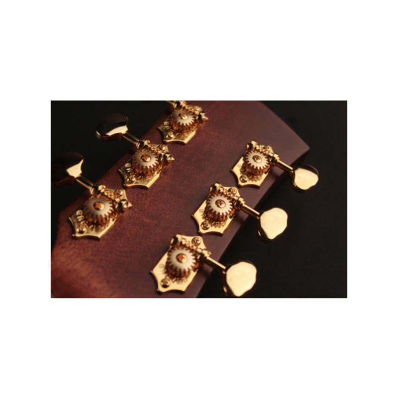 Электроакустическая гитара CORT GOLD-OC6 (Natural)