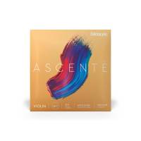 Струны для скрипки D'Addario ASCENTÉ VIOLIN STRING SET 3/4 Scale Medium Tension
