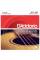 Струни для акустичної гітари D'Addario EJ39 Phosphor Bronze Medium 12-Strings 12/52