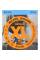Струны для электрогитары D'Addario EXL110 Regular Light 10/46