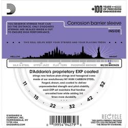 Струни для акустичної гітари D'Addario EXP13 80/20 Bronze Custom Light 11/52