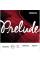Струни для скрипки D'Addario J810 4/4M Prelude Medium Tension