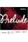 Струны для скрипки D'Addario J810 4/4M Prelude Medium Tension