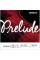 Струна D'Addario J811 4/4M Prelude Violin E Medium Tension