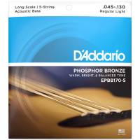 Струни для акустичної бас-гітари D'Addario EPBB170-5 ACOUSTIC BASS PHOSPHOR BRONZE LIGHT 5-STRING (45-130)