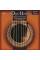 Струни для класичної гітари Dean Markley DMS2834 Master Series Nylon 28/45