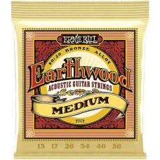 Струны для акустической гитары Ernie Ball 2002 Earthwood Medium 80/20 Bronze 13/56