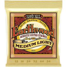Струни для акустичної гітари Ernie Ball 2003 Earthwood 80/20 Bronze Medium Light 12/54
